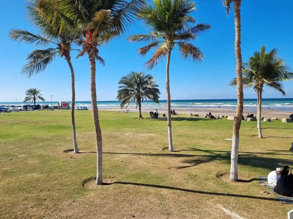 Shatti Al Qurum beach park in Muscat, Oman, featuring tall palm trees, a green grassy lawn, and people relaxing near the sandy shore and blue ocean
